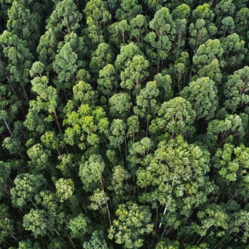CERTIFICATIONS AND SUSTAINABILITY